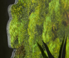 Domeniconi &#39;Albero&#39; cuckoo clock, green GREEN DOME25CUC467GRN