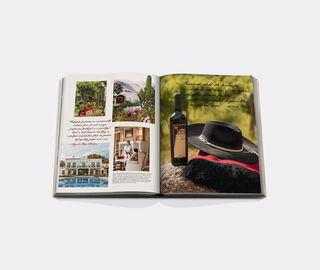 Assouline 'Wine &amp; Travel Latin America' MULTICOLOUR ASSO26WIN680MUL