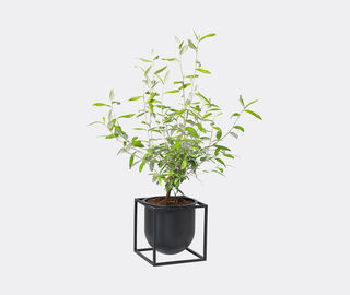 Audo Copenhagen 'Kubus Flowerpot 14', black BLACK BYLA22KUB912BLK