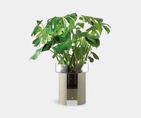 LSA International 'Terrazza' planter, clear and concrete grey, wide TRANSPARENT LSAI22TER169TRA