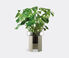 LSA International 'Terrazza' planter, clear and concrete grey, wide Clear LSAI22TER169TRA