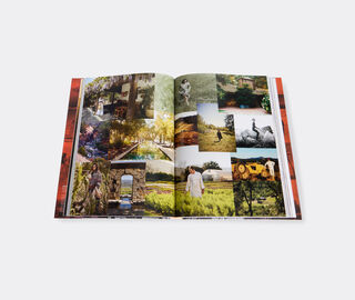 Rizzoli International&nbsp;Publications 'California: Dream State: Stylish Living from Canyon to Coast' MULTICOLOUR RIZZ25CAL818MUL