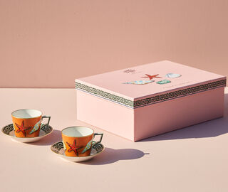 Ginori 1735 'Il Viaggio di Nettuno' teacup and saucer, set of two MULTICOLOUR RIGI20VIA771MUL