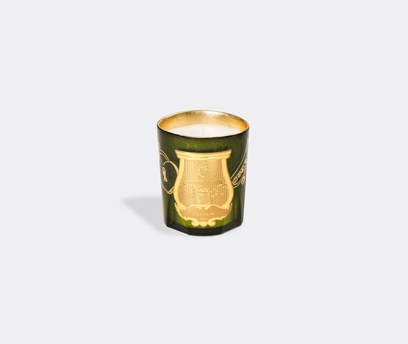 Trudon 'Gabriel' candle, small  CITR22SCE385GRN