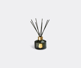 Trudon &#39;Abd el Kader&#39; reed diffuser GREEN CITR21ABD301GRN