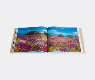 Rizzoli International&nbsp;Publications 'The Palm Springs School: Desert Modernism 1934-1975' MULTICOLOUR RIZZ25THE551MUL