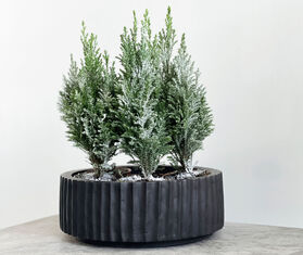 XLBoom 'Ikon' bowl, large BLACK XLBO22IKO393BLK