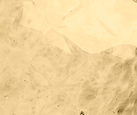 La DoubleJ &#39;Big Egg&#39; vase GOLD LADJ23BIG045GOL