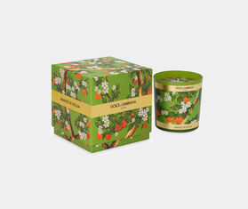 Dolce&amp;Gabbana Casa 'Sicilian Orange' scented candle MULTICOLOUR DGCA23PER748MUL
