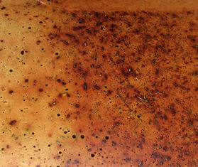 Prin London 'Rust' vase, medium WHITE PRIN17RUS623BRW