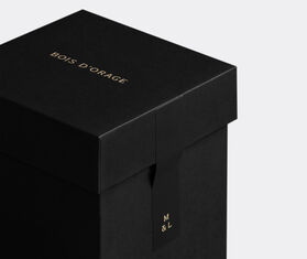 Mad et Len 'LEMAIRE - Bois d'Orage' pot pourri totem BLACK MALE23LEM233BLK