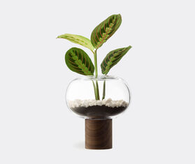 LSA International &#39;Oblate&#39; vase, medium TRANSPARENT LSAI21OBL646TRA