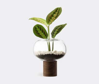 LSA International 'Oblate' vase, medium TRANSPARENT LSAI21OBL646TRA