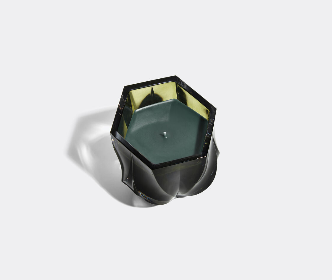 Shop Zaha Hadid Design Candlelight And Scents Olive Green Uni