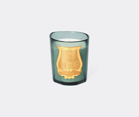 Trudon 'Figuerie' scented candle, small, green BLUE CITR26FIG929BLU