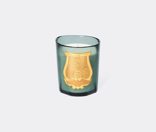 Trudon 'Figuerie' scented candle, small, green BLUE CITR26FIG929BLU