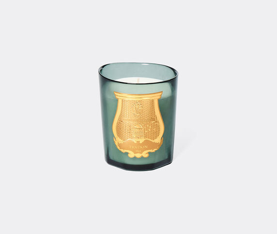 Trudon 'Figuerie' scented candle, small, green BLUE CITR26FIG929BLU