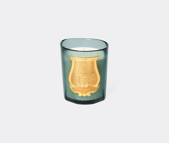 Trudon 'Figuerie' scented candle, small, green undefined ${masterID}