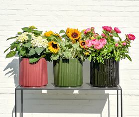 XLBoom &#39;Ikon&#39; pot, brown BROWN XLBO23IKO656BRW