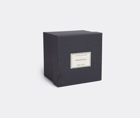 Mad et Len 'Vegetal Amber' pot pourri totem, Spirituelle BLACK MALE19POT874BLK