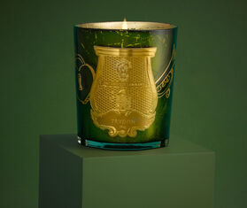 Trudon 'Gabriel' candle, small GREEN CITR22SCE385GRN