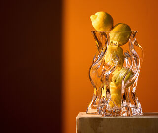AYTM 'Vena' vase, medium, clear TRANSPARENT AYTM26VEN501TRA