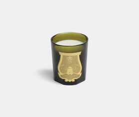 Trudon &#39;Solis Rex&#39; candle GREEN CITR15SOL211GRN