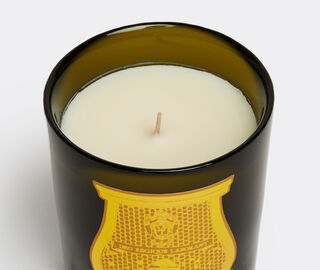 Trudon 'Madeleine' candle GREEN CITR21MAD426GRN
