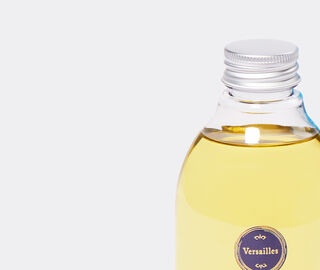 Trudon 'Versailles' diffuser refill, 300ml LIGHT BLUE CITR24VER860LBL