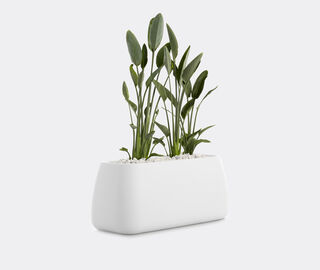 Diabla 'Gobi 5' planter WHITE DIAB20GOB307WHI
