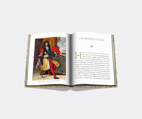 Assouline &#39;Versailles: From Louis XIV to Jeff Koons&#39; YELLOW ASSO21VER623YEL