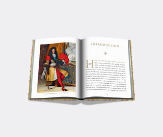 Assouline 'Versailles: From Louis XIV to Jeff Koons' YELLOW ASSO21VER623YEL
