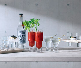 LSA International 'Vodka' shot glass, set of two TRANSPARENT LSAI20VOD308TRA