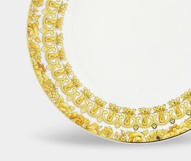 Rosenthal &#39;Medusa Rhapsody&#39; plate, large MULTICOLOUR ROSE21MED502MUL