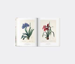 Taschen 'Redout&eacute;. The Book of Flowers XL' MULTICOLOUR TASC21RED937MUL