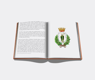 Assouline 'Capri Dolce Vita' ORANGE ASSO19CAP834ORA