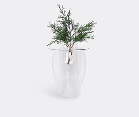 T&eacute;rence Coton Design Studio 'Tulip' vase TRANSPARENT TECO19TUL351TRA