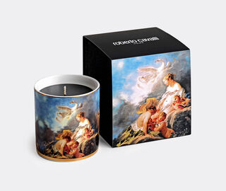 Roberto Cavalli Home 'Wild Leda' scented candle MULTICOLOUR RCHO23WIL226MUL