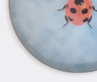 Les-Ottomans 'Insetti' porcelain plate, ladybug TURQUOISE OTTO21INS818MUL