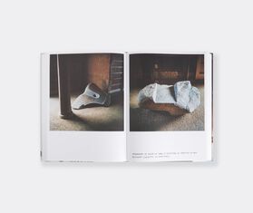 Rizzoli International&nbsp;Publications 'Fran&ccedil;ois Halard 3: New Vision' MULTICOLOUR RIZZ23FRA845MUL