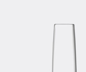 LSA International 'Stems' vase, large TRANSPARENT LSAI20STE388TRA