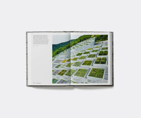 Phaidon 'Concrete' MULTICOLOUR PHAI17CON156MUL