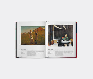 Phaidon 'The American Art Book' MULTICOLOUR PHAI25AME192MUL