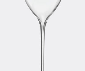 LSA International &#39;Savoy&#39; liqueur glass, set of two TRANSPARENT LSAI22SAV678TRA