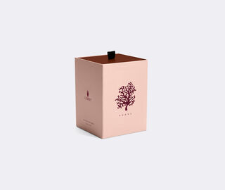 L'Objet Footed coral candle WHITE LOBJ22FOO477MUL