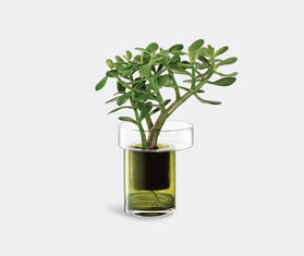 LSA International 'Balcony' self watering planter, small GREEN LSAI22BAL937GRN