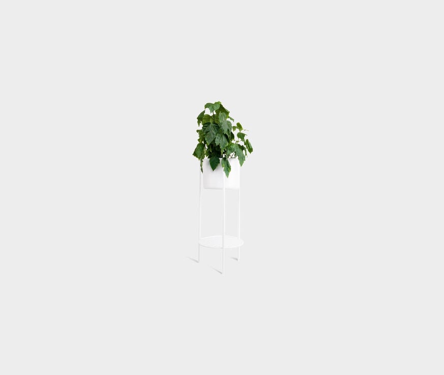 XLBoom 'Ent' plant stand, medium, white  XLBO20ENT662WHI