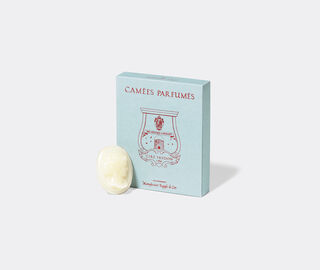 Trudon 'Odalisque' wax cameos, set of four PINK CITR20CAM042PIN