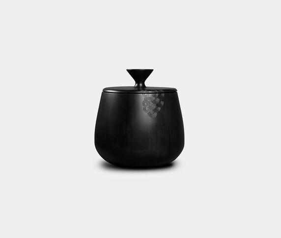 Zanat 'Hide & Seek' container and coffee table, medium, black Black Stain ZANA20HID036BLK