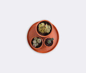 Basis &#39;Terracotta&#39; saucer with three pots TERRACOTTA BASI22TER985CIN